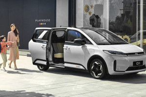 BYD D1